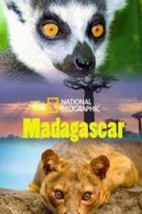 National Geographic. Мадагаскар: Легенда острова лемуров (2015) National Geographic. Мадагаскар: Легенда острова лемуров (2015)